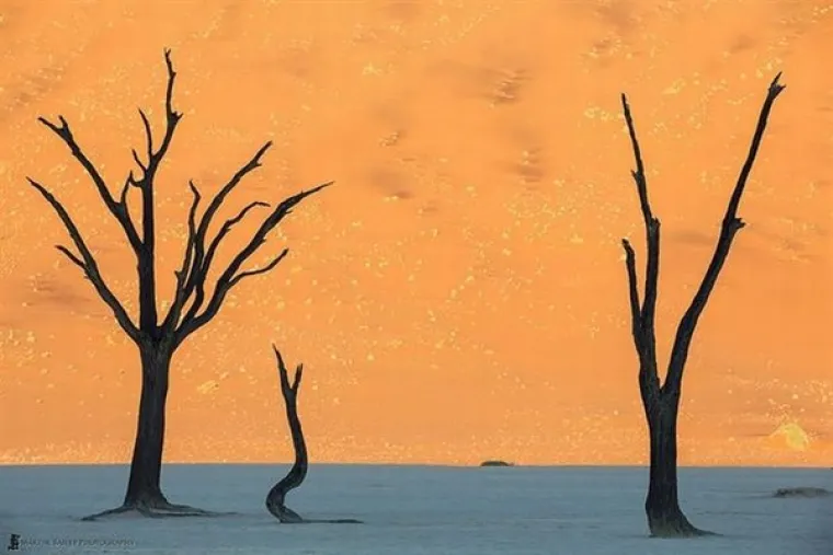 Pustinja Namib, Namibija.