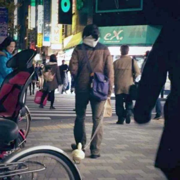 Japan je jedna od najbizarnijih razvijenih zemalja na svijetu. Osim &scaron;to je domovina najraznolikijih tehnolo&scaron;kih dostignuća, također je domovina i najraznolikijih oblika bizarnih pornića. No, to nisu jedine zanimljive stvari u Japanu. U galeriji možete pogledati neke od najbizarnijih prizora iz japanske svakodnevice pa se uvjerite sami.