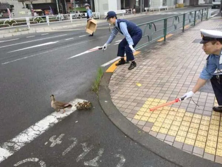 PORNIĆI NISU NAJBIZARNIJA STVAR U JAPANU: Njihov svakodnevni život prožet je sumanutim detaljima