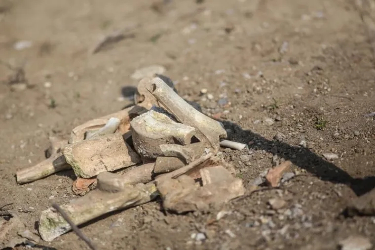 Nakon pronalaska kosti u Gračanima počelo iskapanje, radi li se o masovnoj grobnici?