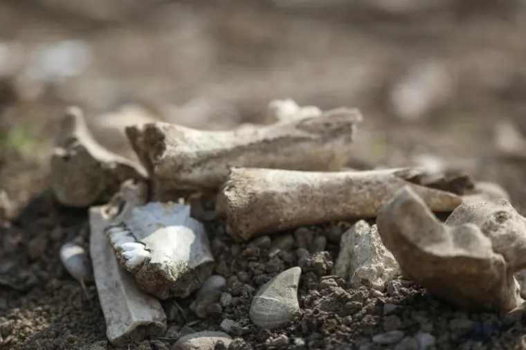 Nakon pronalaska kosti u Gračanima počelo iskapanje, radi li se o masovnoj grobnici?