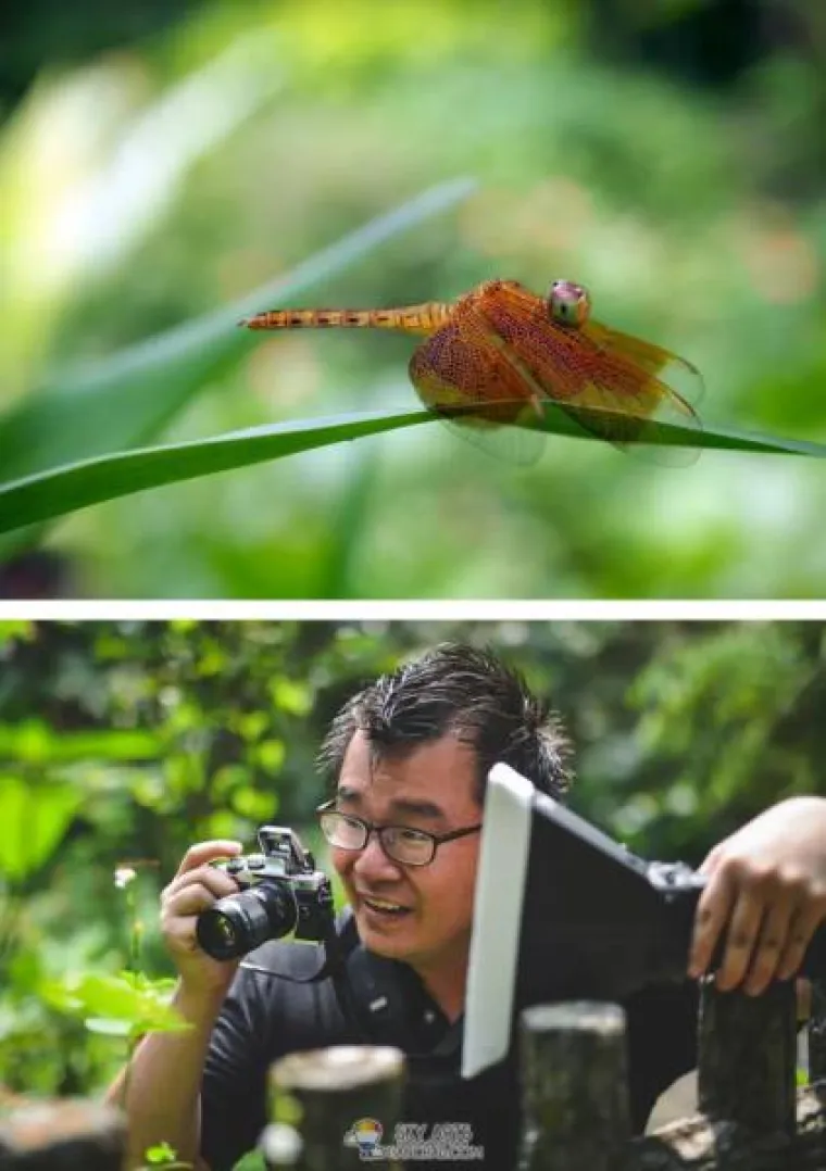 PRAVA ISTINA IZA BOMBASTIČNIH FOTOGRAFIJA: Zavirite iza kulisa i saznajte kako zapravo nastaju