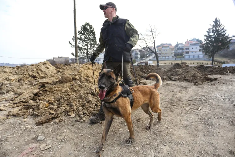 Medved posjetio područje gdje traje probno iskapanje