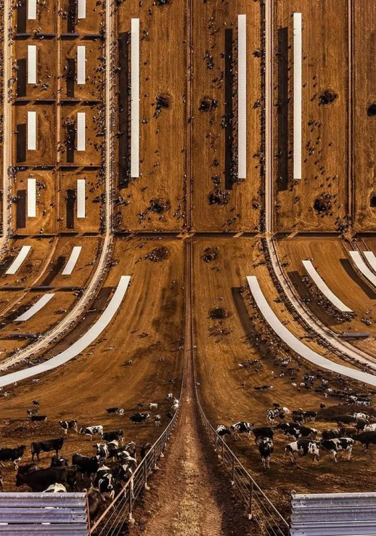 FOTOGRAFIJE KOJE ĆE VAM POMUTITI UM: Dronovima uslikao fascinantne prizore koji u potpunosti izokrenu stvarnost