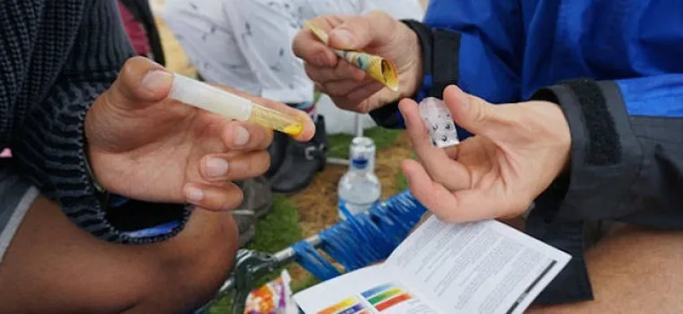 SODOMA I GOMORA: Stiže sezona glazbenih festivala, možda je vrijeme da se psihički pripremite