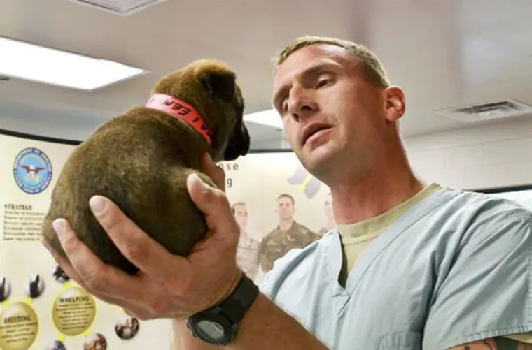 I KAKO SU SAMO OZBILJNI! Ovi psići pucaju od ponosa na svom prvom radnom danu