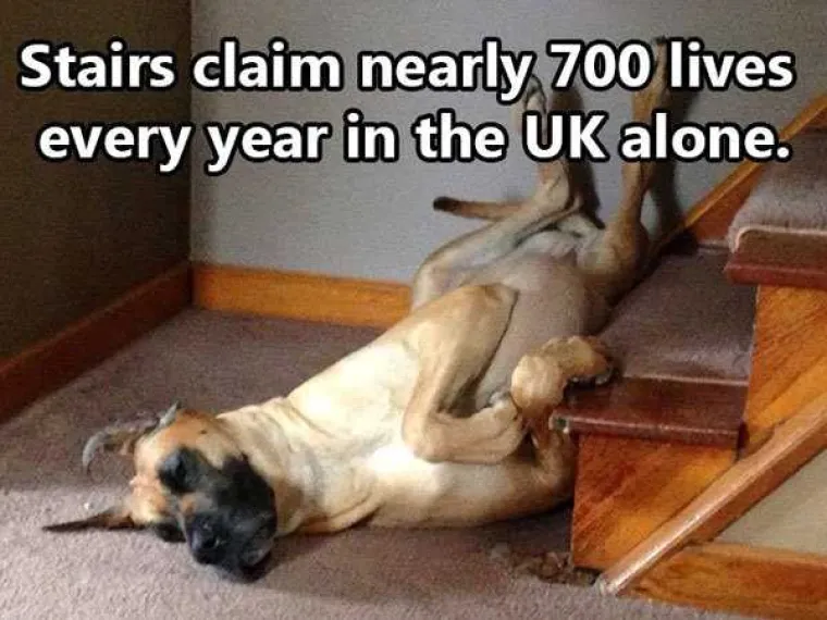 Stepenice ubiju 700 ljudi godi&scaron;nje samo u Velikoj Britaniji.