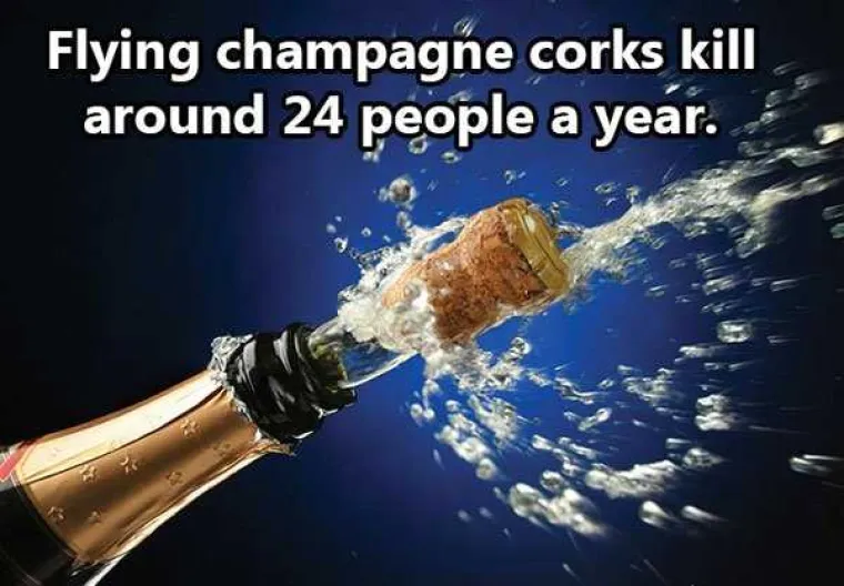 Čep &scaron;ampanjca ubije 24 osoba godi&scaron;nje.