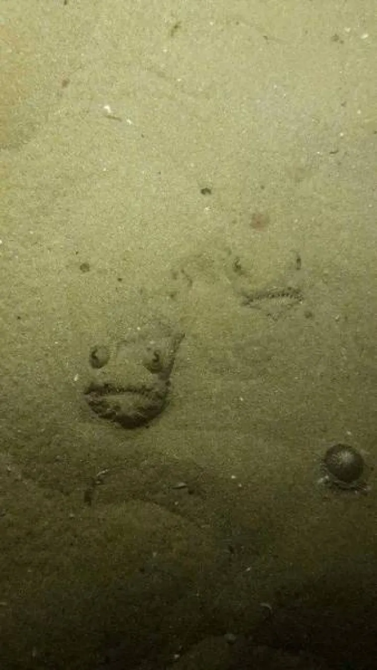 NEMANI IZ DUBINA: Podmorje je puno čudovi&scaron;ta, a ovo su sablasni prizori koji vas tamo čekaju