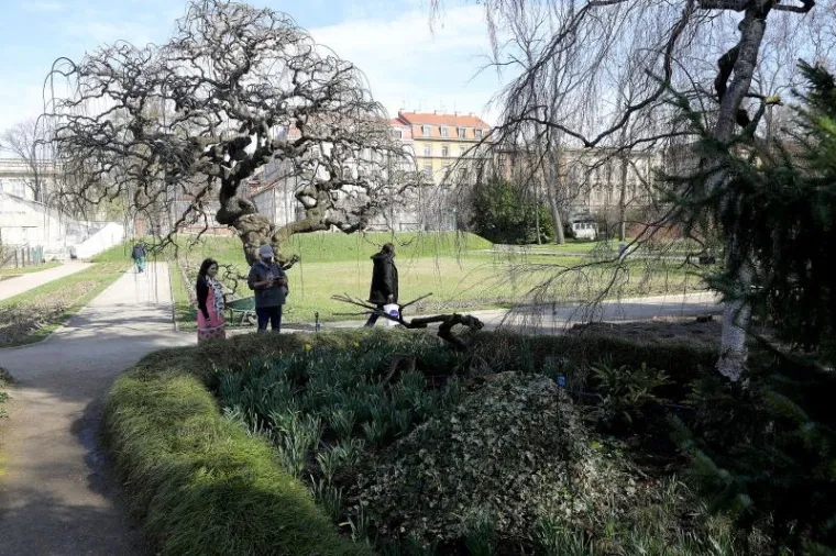 NAPOKON JE I SLUŽBENO STIGLO: Ovako izgleda prvi dan proljeća u zagrebačkoj oazi prirode