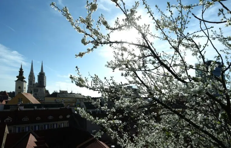NAPOKON JE I SLUŽBENO STIGLO: Ovako izgleda prvi dan proljeća u zagrebačkoj oazi prirode