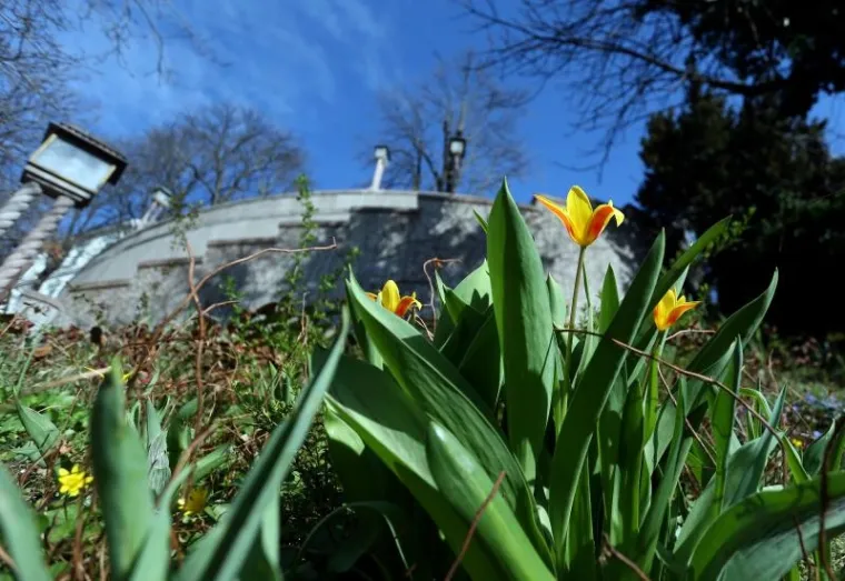 NAPOKON JE I SLUŽBENO STIGLO: Ovako izgleda prvi dan proljeća u zagrebačkoj oazi prirode