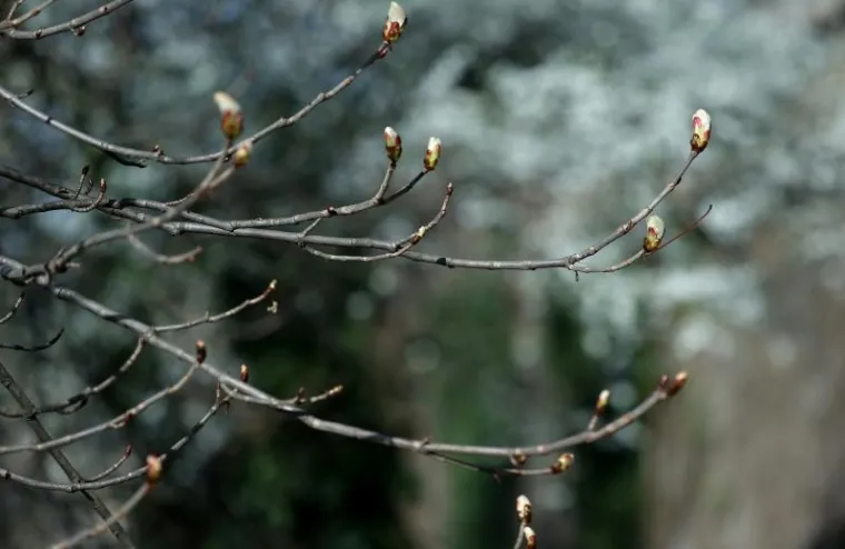 NAPOKON JE I SLUŽBENO STIGLO: Ovako izgleda prvi dan proljeća u zagrebačkoj oazi prirode