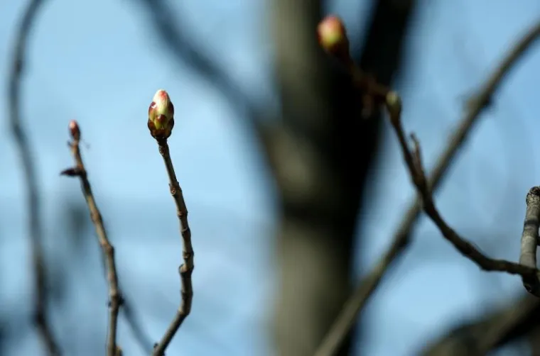 NAPOKON JE I SLUŽBENO STIGLO: Ovako izgleda prvi dan proljeća u zagrebačkoj oazi prirode