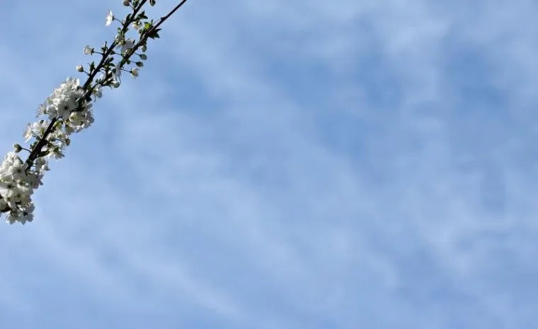 NAPOKON JE I SLUŽBENO STIGLO: Ovako izgleda prvi dan proljeća u zagrebačkoj oazi prirode