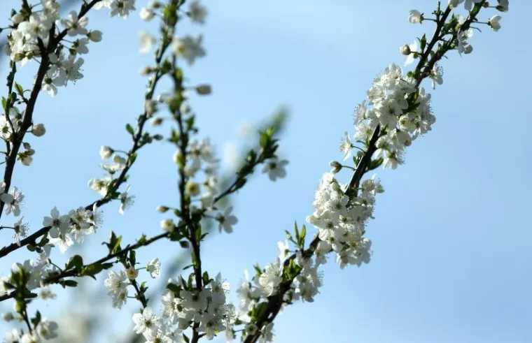 NAPOKON JE I SLUŽBENO STIGLO: Ovako izgleda prvi dan proljeća u zagrebačkoj oazi prirode