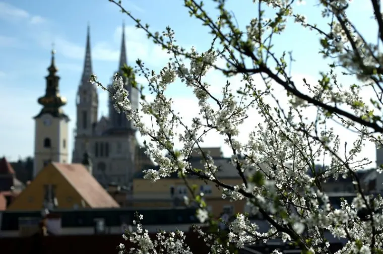 U 11:29 sati i službeno je počelo proljeće, a jedno od najboljih mjesta za provesti prvi dan proljeća sasvim sigurno je zagrebački Botanički vrt, a prvim danom proljeća procjetao je i Gornji grad.