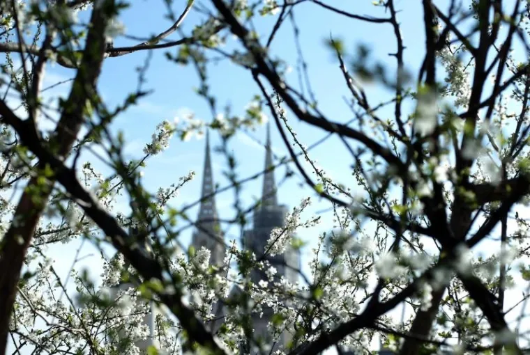 NAPOKON JE I SLUŽBENO STIGLO: Ovako izgleda prvi dan proljeća u zagrebačkoj oazi prirode