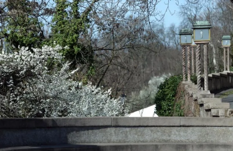 NAPOKON JE I SLUŽBENO STIGLO: Ovako izgleda prvi dan proljeća u zagrebačkoj oazi prirode