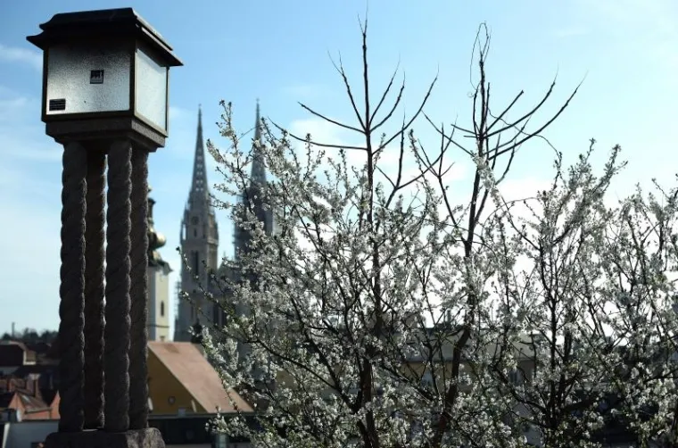 NAPOKON JE I SLUŽBENO STIGLO: Ovako izgleda prvi dan proljeća u zagrebačkoj oazi prirode