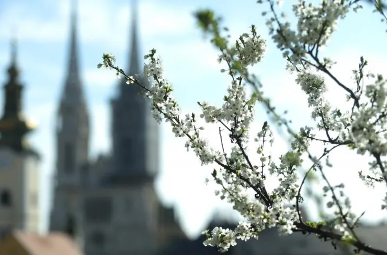 NAPOKON JE I SLUŽBENO STIGLO: Ovako izgleda prvi dan proljeća u zagrebačkoj oazi prirode