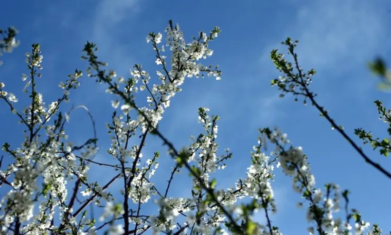 NAPOKON JE I SLUŽBENO STIGLO: Ovako izgleda prvi dan proljeća u zagrebačkoj oazi prirode