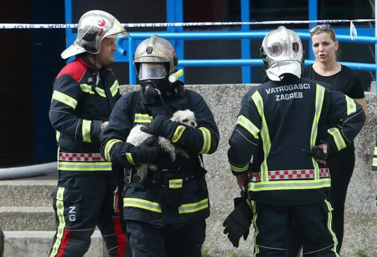 U požaru stana na Jarunu nema ozlijeđenih, vatrogasci spasili i pse