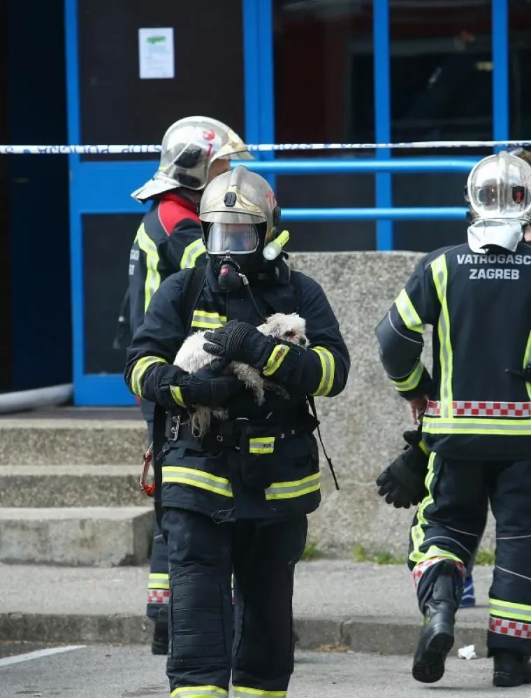 U požaru stana na Jarunu nema ozlijeđenih, vatrogasci spasili i pse