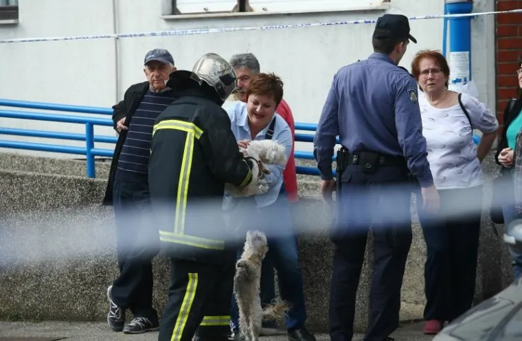 U požaru stana na Jarunu nema ozlijeđenih, vatrogasci spasili i pse