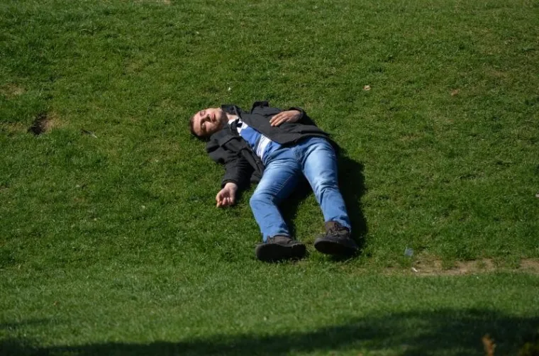 Proljeće u Zagrebu: procvjetale magnolije, ali i proljetni umor