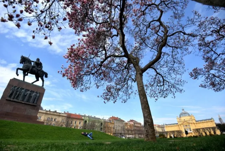 Proljeće u Zagrebu: procvjetale magnolije, ali i proljetni umor
