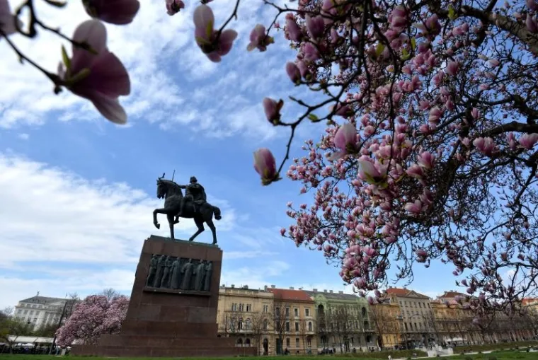 Proljeće u Zagrebu: procvjetale magnolije, ali i proljetni umor