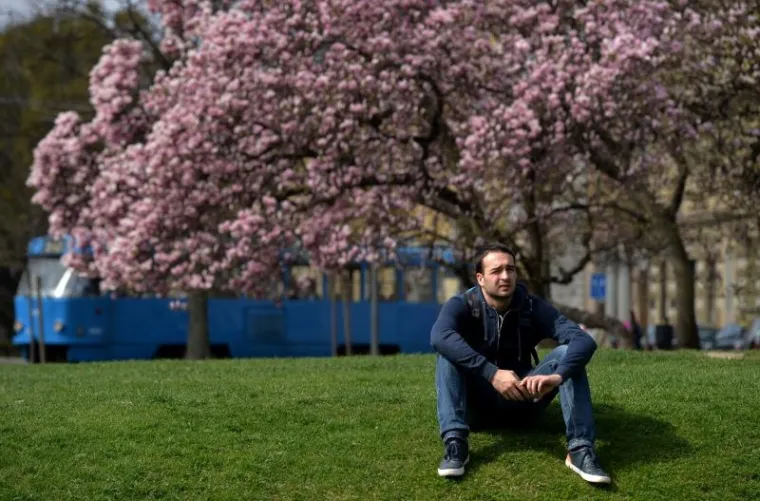 Proljeće u Zagrebu: procvjetale magnolije, ali i proljetni umor