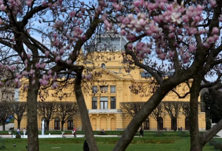 Proljeće u Zagrebu: procvjetale magnolije, ali i proljetni umor