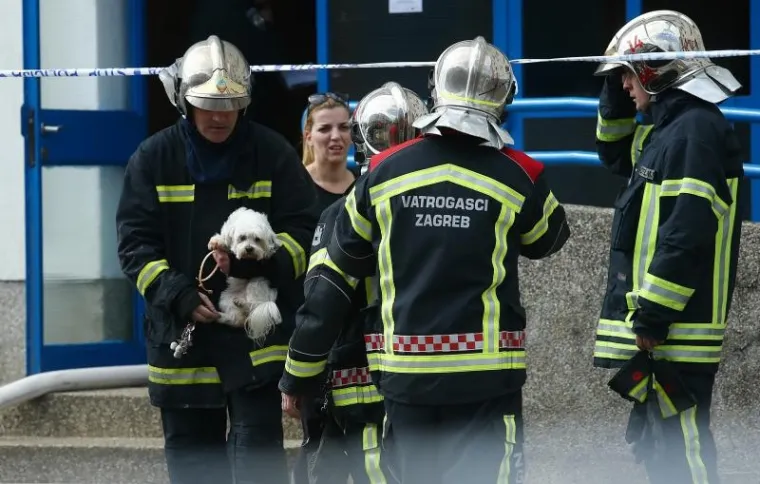 Požar u stanu na zagrebačkim Gredicama, vatrogasci spasili ženu i pse