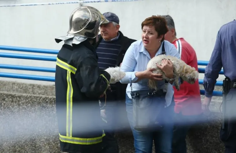 Požar u stanu na zagrebačkim Gredicama, vatrogasci spasili ženu i pse