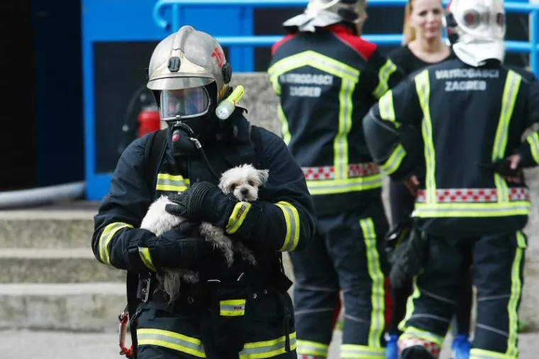 Požar u stanu na zagrebačkim Gredicama, vatrogasci spasili ženu i pse
