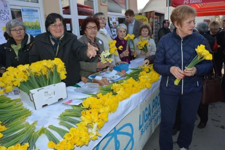 U Hrvatskoj obilježen Dan narcisa: rano otkrivanje bolesti je važno za izlječenje