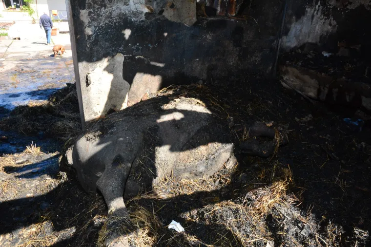 Gornja Bebrina: U požaru izgorjela obiteljska kuća