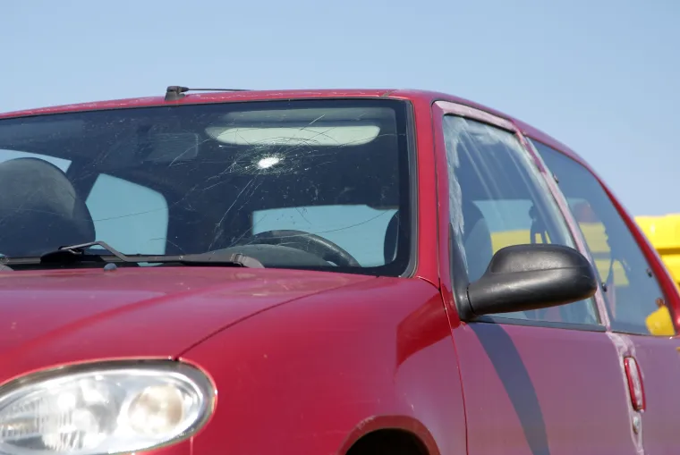 Policija u Čistoj Velikoj