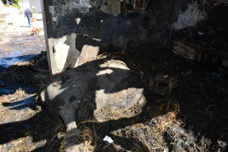 OSTALI BEZ KROVA NAD GLAVOM: U požaru izgorjela obiteljska kuća