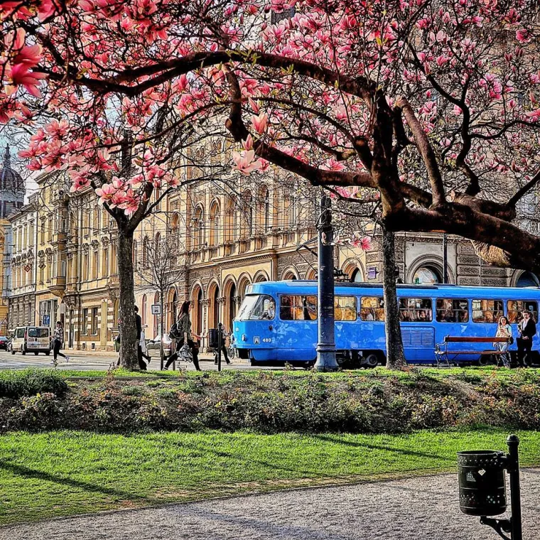 Tramvaj na Trgu kralja Tomislava