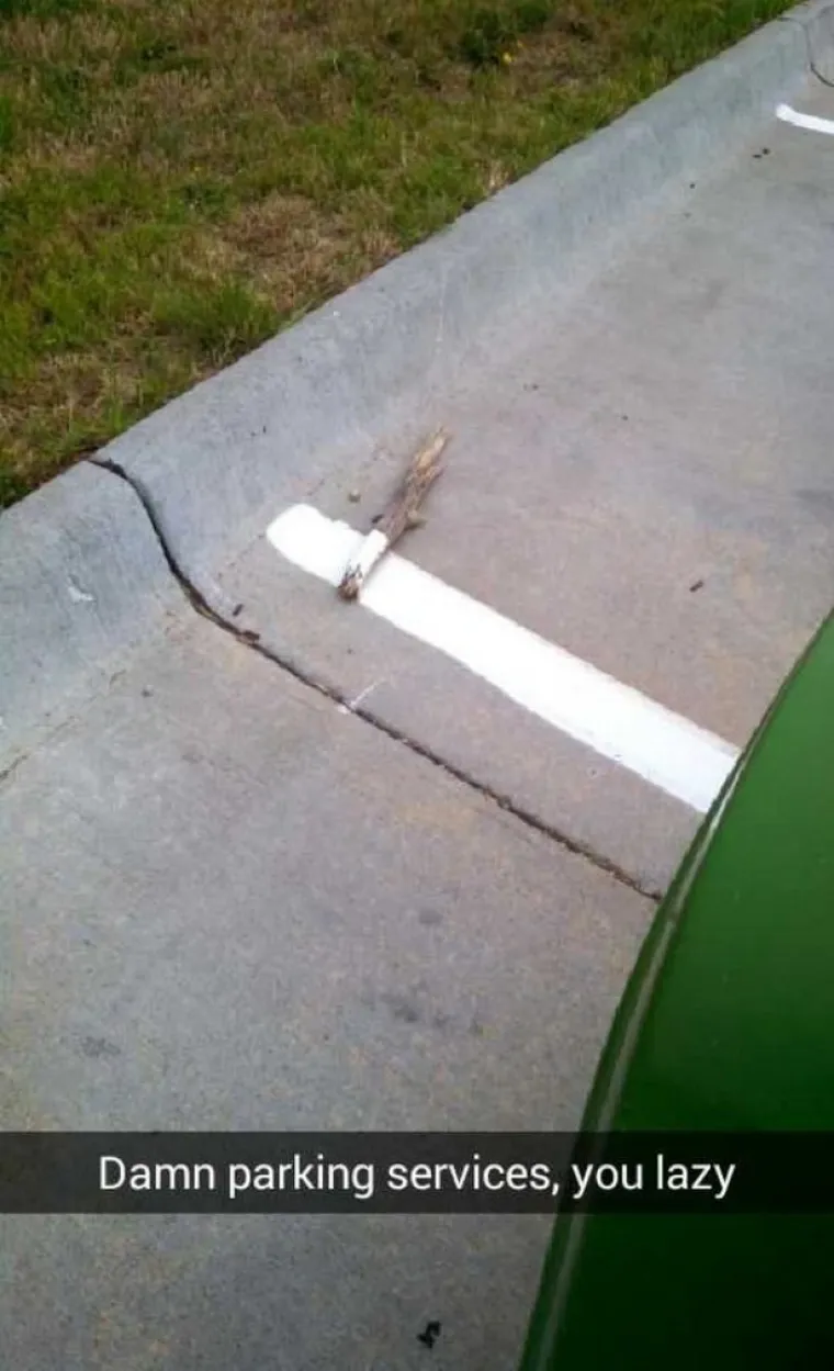 LIJENOST JE SNAŽNA SILA, A ONI JOJ NISU USPJELI ODOLJETI: Koliko lijen mora&scaron; biti da se nađe&scaron; u ovakvoj situaciji?