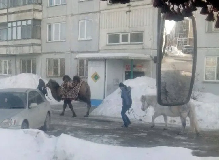 RUSIJA JE ZAPRAVO KOKTEL NA BAZI VOTKE: Ne znamo &scaron;to ih sve čini posebnima, ali dobro znamo &scaron;to je temelj