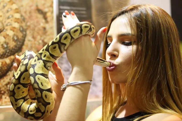 Najotrovnije zmije svijeta stigle u Zagreb