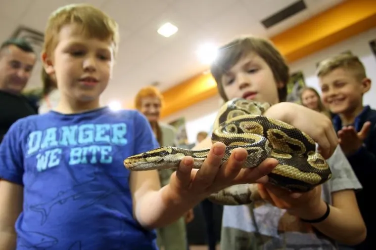 Najotrovnije zmije svijeta stigle u Zagreb