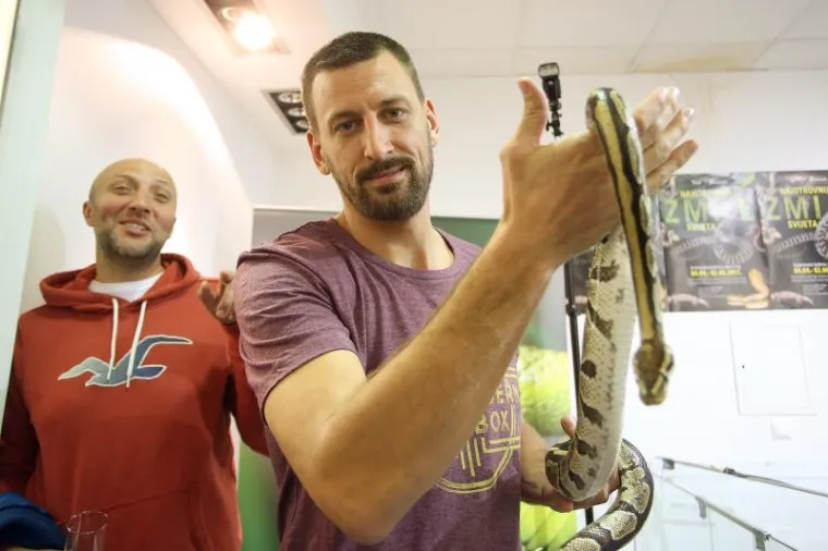 Najotrovnije zmije svijeta stigle u Zagreb