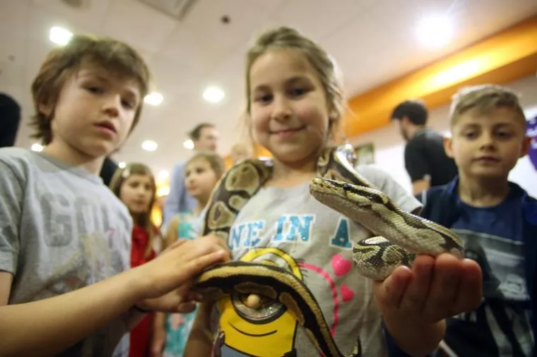 'Najezda' najotrovnijih zmija svijeta na Zagreb