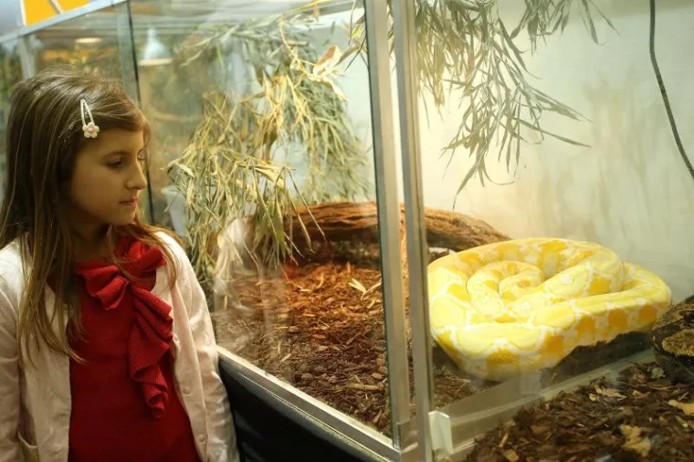 'Najezda' najotrovnijih zmija svijeta na Zagreb