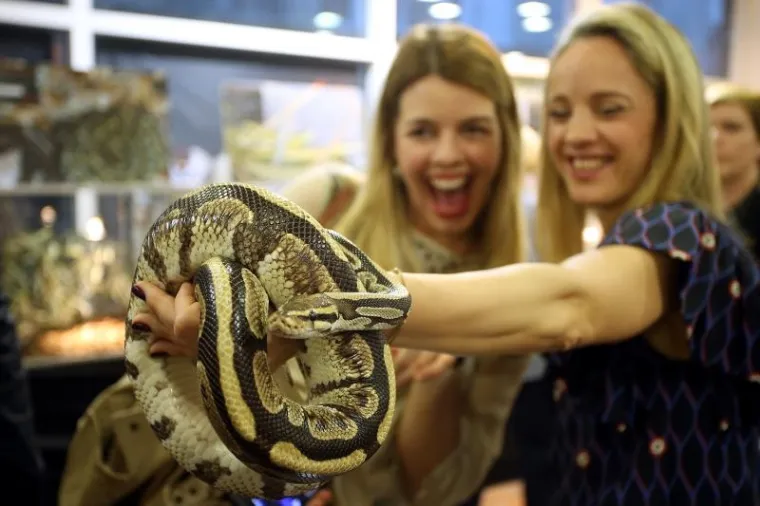 'Najezda' najotrovnijih zmija svijeta na Zagreb